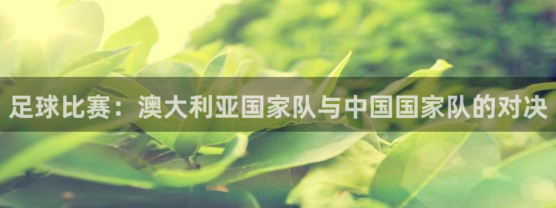 足球比赛：澳大利亚国家队与中国国家队的对决