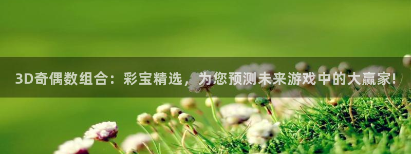 永盈3622网站登录入口：3D奇偶数组合：彩宝精选，为您预测未来游戏中的大赢家!