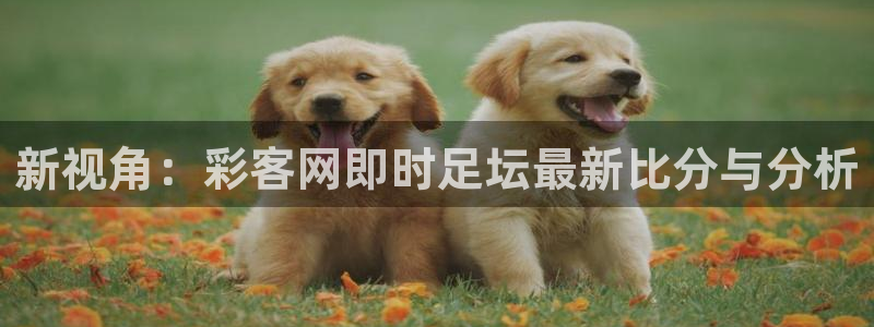 佛山市永盈陶瓷有限公司