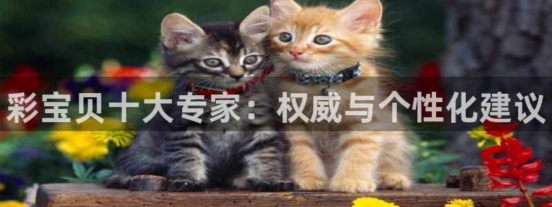 永盈兴业有限公司：彩宝贝十大专家：权威与个性化建议